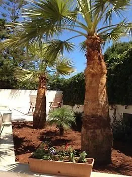 Sanvitosleep Hotel San Vito Lo Capo